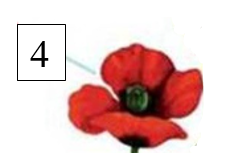 0301fylj-0325-230x154.png