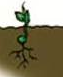 0301fyp6-2e87-63x77.png