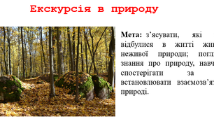 Екскурсія в природу. Практичне завдання: Складання каталогу/колекції природних об’єктів під час екскурсії.