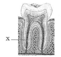 0301g3df-3dd1-200x187.jpg