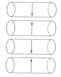 0301g9n6-4b00-245x312.png