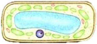 0301gcz6-84d5-335x152.png