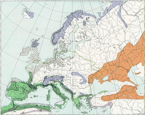 0301gg96-79ca-297x236.jpg