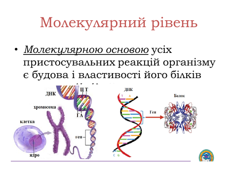 0301gj48-d1b8-480x360.png