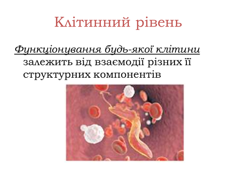 0301gj4w-43aa-480x360.png