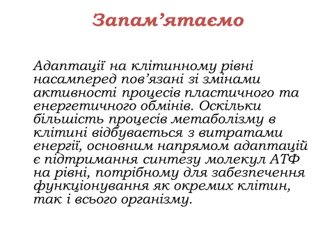 0301gj58-d491-480x360.png