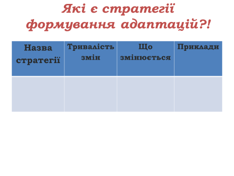 0301gjao-4561-480x360.png