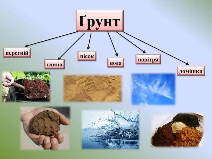 Презентація "Ґрунт, його значення, утворення і властивості."