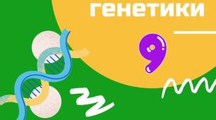 Збірник задач з генетики для 9 класу.