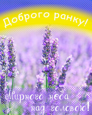 0301h0iv-00b5-306x383.jpg