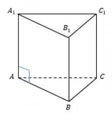 Призма | Тест з геометрії – «На Урок»