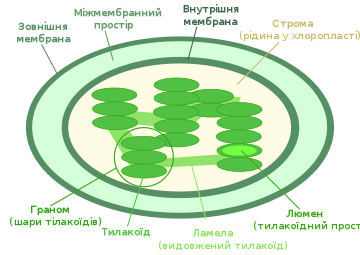 0301h6qa-1f70-360x255.png