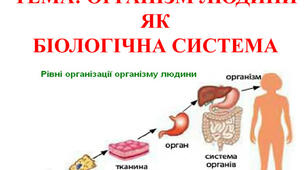 Організм людини як біологічна система