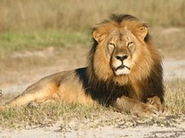 0301h9ow-f91e-208x155.jpg