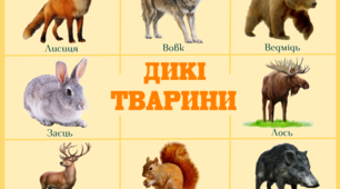 Плакати "Дикі тварини" та "Свійські тварини"
