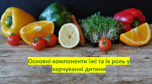 Основні компоненти їжі та їх роль у харчуванні дитини. Соціально-побутове орієнтування (СПО) 9 клас