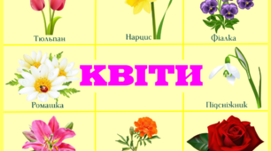 Плакат "Квіти" (А3 формату)