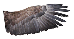 0301hkkj-e594-250x132.png