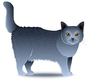 0301hlf3-8186-303x276.png