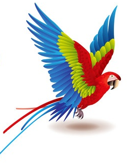 0301hlfn-e7cf-269x327.png