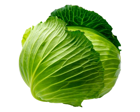 0301hpjl-0fde-558x447.png