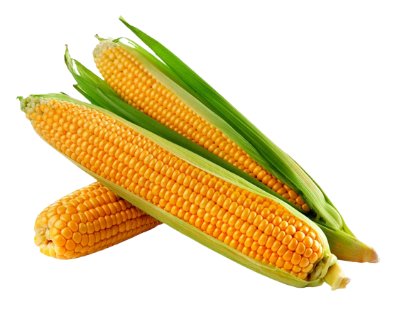 0301hpli-d27d-573x435.png