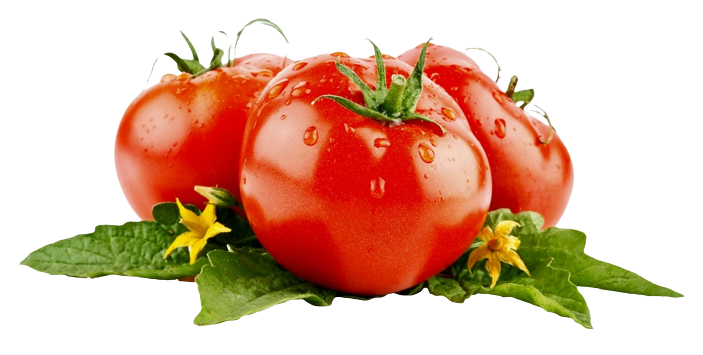 0301hpmh-f235-703x355.png