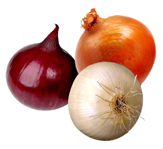 0301hpnr-b16e-522x478.png