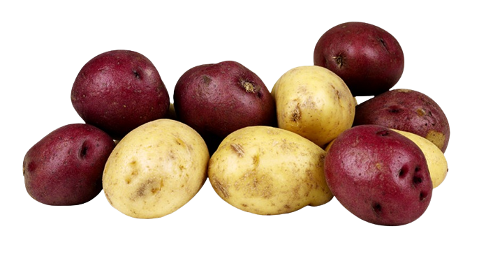 0301hpnx-b7be-686x364.png