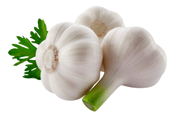 0301hpwx-9779-610x409.png