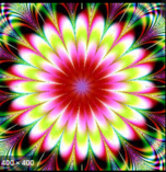 0301hsao-9777-152x157.png