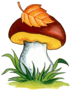 0301hsos-e55f-233x301.png