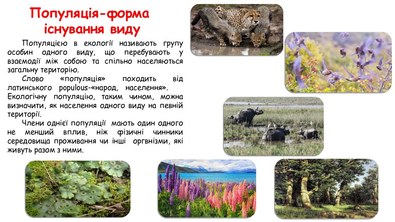 Популяцією в екології називають групу особин одного виду, що перебувають у взаємодії між собою та спільно населяються загальну територію. Слово «по...