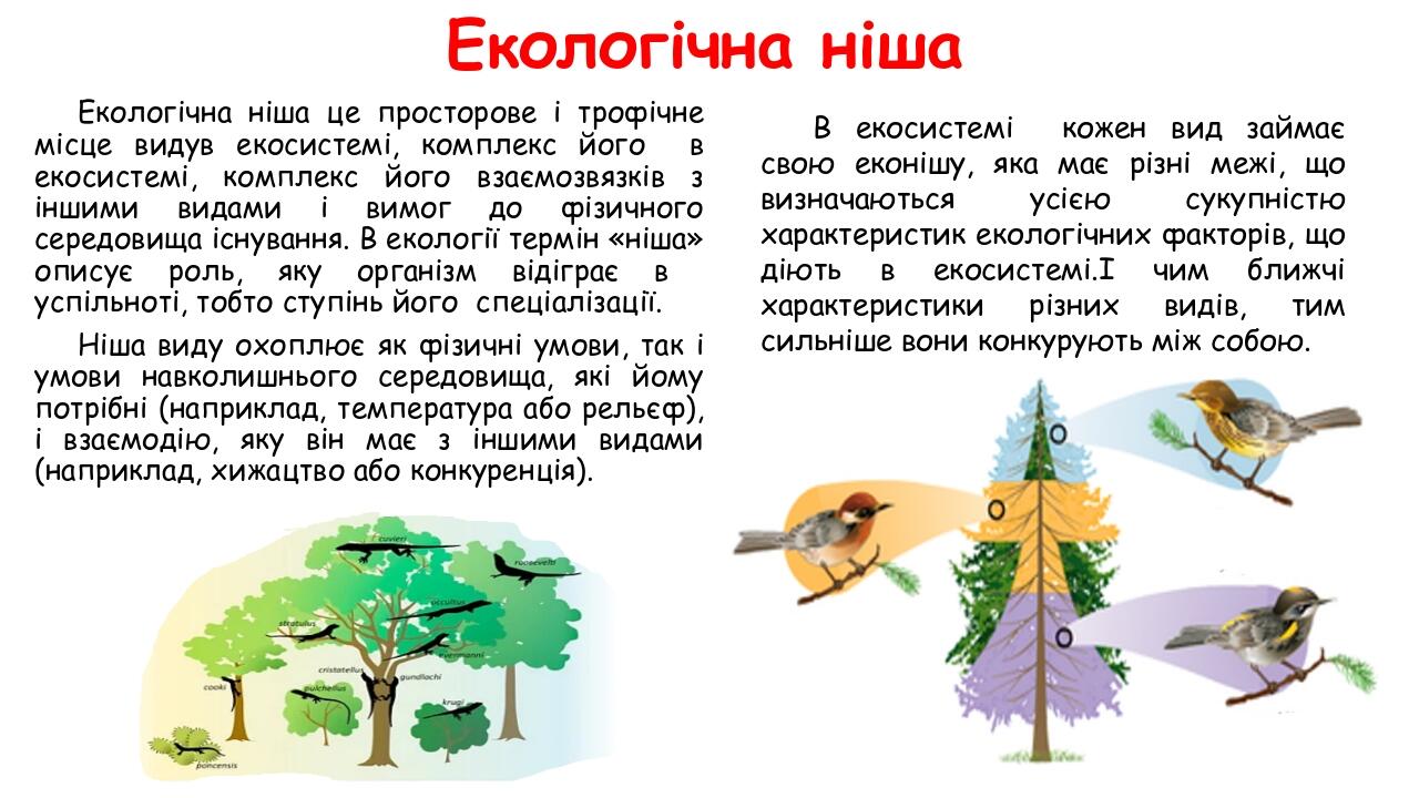 Екологічна ніша Екологічна ніша це просторове і трофічне місце видув екосистемі, комплекс його в екосистемі, комплекс його взаємозвязків з іншими в...