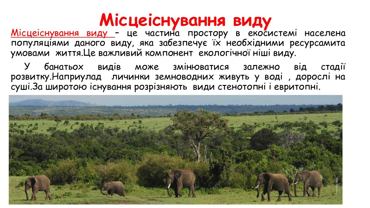 Місцеіснування виду Місцеіснування виду – це частина простору в екосистемі населена популяціями даного виду, яка забезпечує їх необхідними ресурсам...