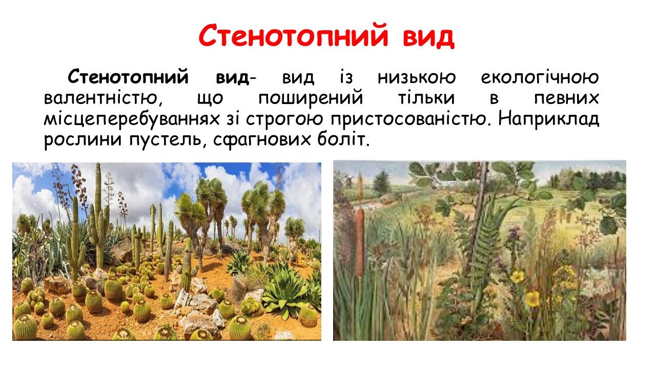 Стенотопний вид Стенотопний вид- вид із низькою екологічною валентністю, що поширений тільки в певних місцеперебуваннях зі строгою пристосованістю....