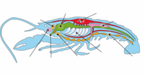 0301hwke-e1c4-400x206.png