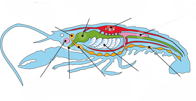0301hwke-e1c4-400x206.png