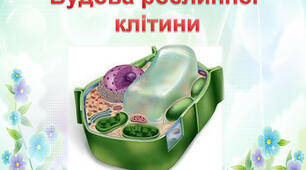 Будова рослинної клітини