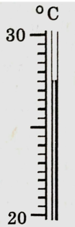 0301i8lo-443c-109x330.png