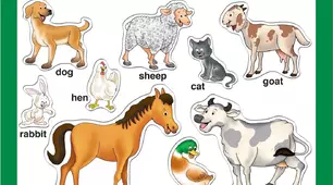 Guess the Animal. 1, 2 клас НУШ.