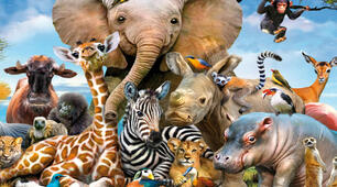 Guess the Wild Animal. 2 клас НУШ.