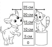 0301ifek-61ef-216x197.png