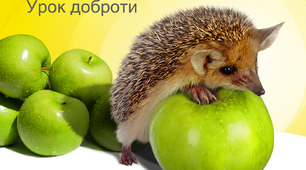 Презентація на тему "Урок доброти"