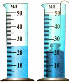 0301igdl-284c-238x282.png