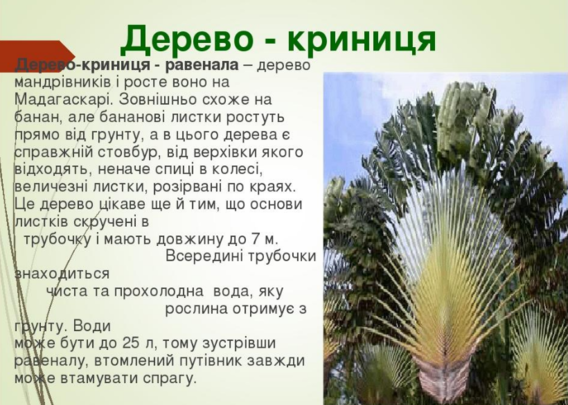 0301igfi-2193-568x405.png