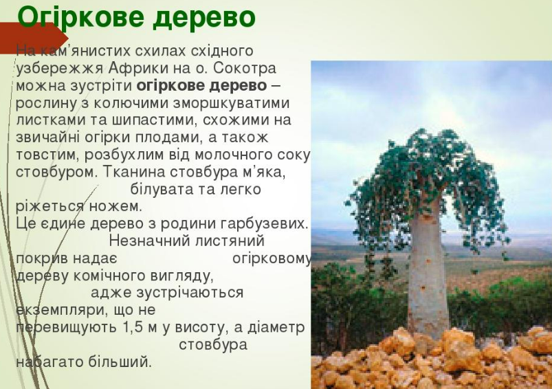 0301igfp-41f0-803x566.png