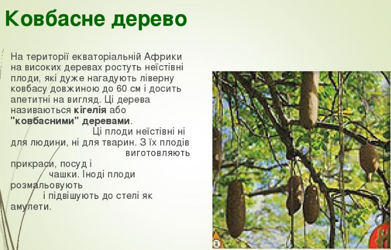 0301igg1-d43d-779x499.png