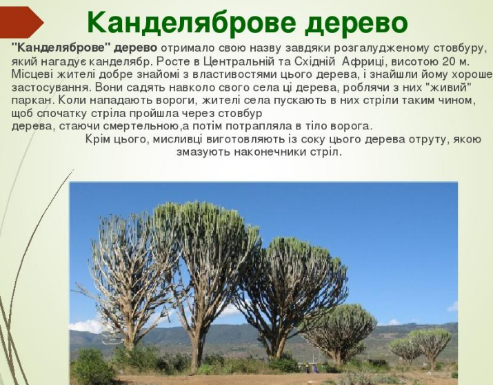 0301iggi-fed1-715x559.png