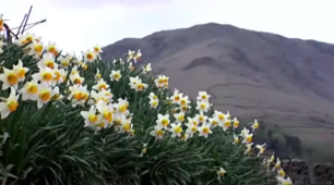 British landscapes ( Solutions Pre-Intermediate)